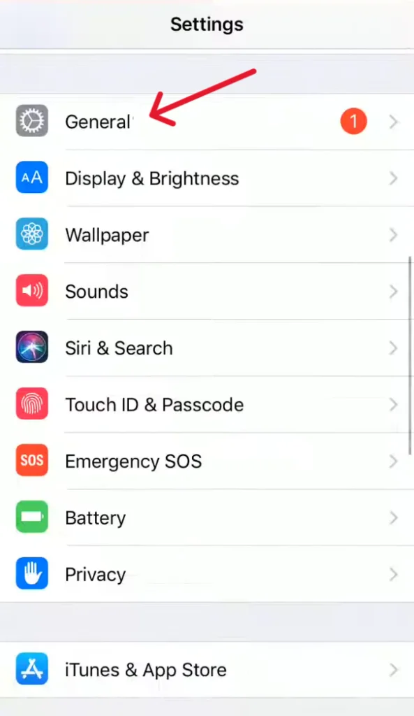 General settings option in iPhone's settings
