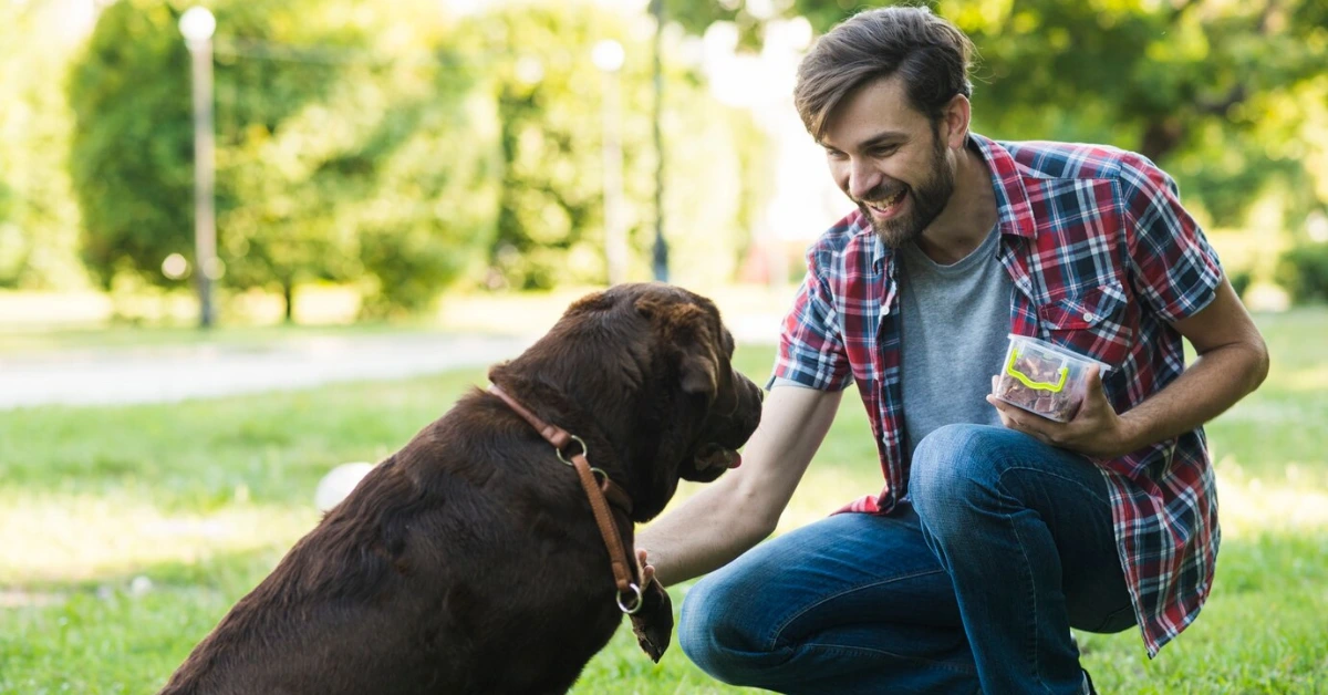 Pet Care Certification