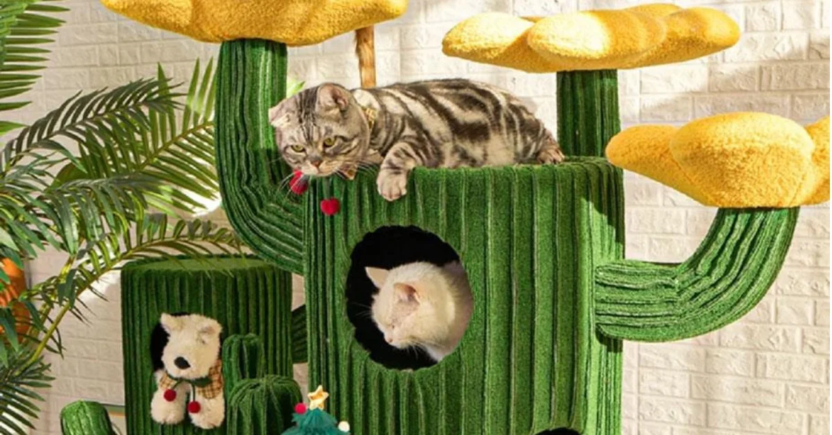 a cat lying on a cat tree