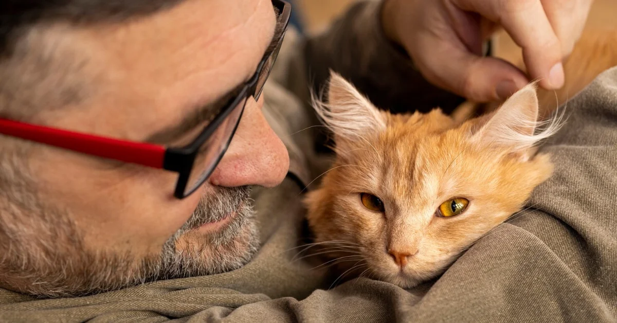 a man hugging a cat